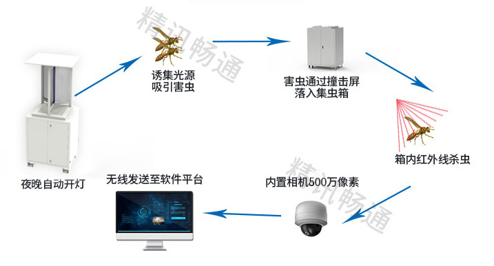 虫情测报灯