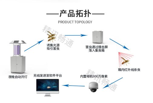 虫情测报灯